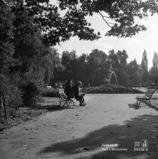 Ogr&oacute;d Saski w Lublinie