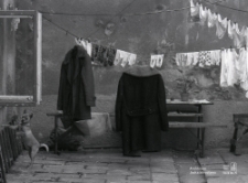 Podw&oacute;rze kamienicy przy ulicy Żmigr&oacute;d 7 w Lublinie