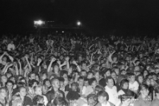 Koncert zespołu BAJM