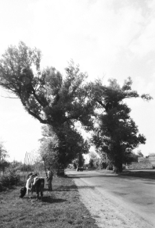 Okolice Kazimierza Dolnego