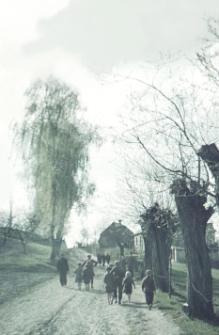 Przedmieście Lublina &ndash; Kalinowszczyzna