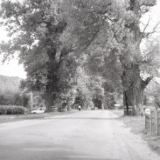 Okolice Kazimierza Dolnego &ndash; Parchatka