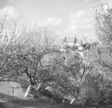 Kości&oacute;ł farny św. Jana Chrzciciela i św. Bartłomieja w Kazimierzu Dolnym