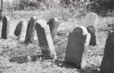 Cmentarz Żydowski w Czerniawach w Kazimierzu Dolnym