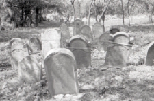 Cmentarz Żydowski w Czerniawach w Kazimierzu Dolnym