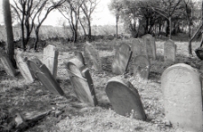 Cmentarz Żydowski w Czerniawach w Kazimierzu Dolnym