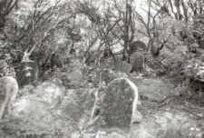 Cmentarz Żydowski w Czerniawach w Kazimierzu Dolnym