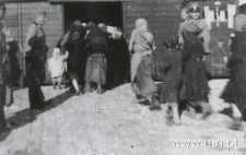 Deportacja ludności żydowskiej Międzyrzeca Podlaskiego