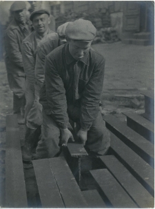 „Szyny” (Zbudujemy nowy dom)