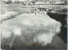 Dolina Bystrzycy na Kalinowszczyźnie w Lublinie