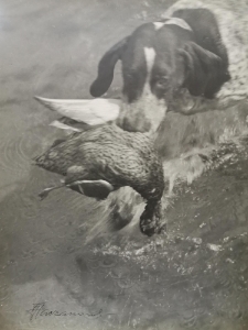 &bdquo;Mars aportuje&rdquo;