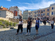 Projekt Unveiling Aktion Reinhardt: A Multi-Perspective Exploration