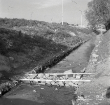 Rzeka Czech&oacute;wka w Lublinie