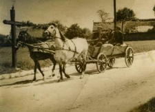 Młodzierz z Modliborzyc w drodze na zabawę