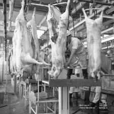 Zakłady Mięsne w Łukowie