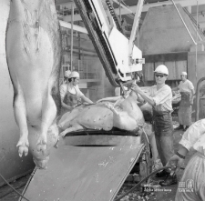 Zakłady Mięsne w Łukowie