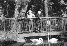 Ogr&oacute;d Saski w Lublinie