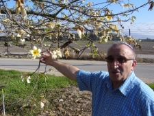 Ks. Romuald Jakub Weksler-Waszkinel w kibucu Sde Eliyahu w Izraelu