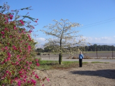 Ks. Romuald Jakub Weksler-Waszkinel w kibucu Sde Eliyahu w Izraelu