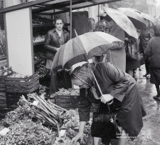 Stoisko sklepu warzywniczego przy Krakowskim Przedmieściu 74 w Lublinie