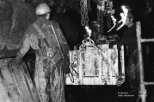 Kopalnia węgla kamiennego &bdquo;Bogdanka"