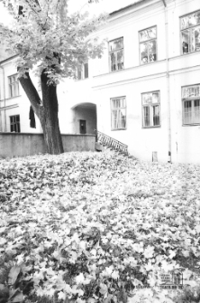 Krakowskie Przedmieście 62 w Lublinie (Pałac Morskich) &ndash; podw&oacute;rze