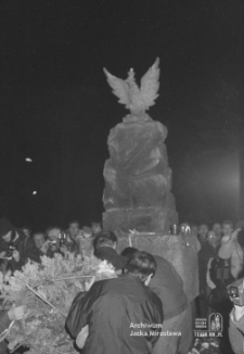 Manifestacja z okazji obchod&oacute;w Święta Niepodległości 11 Listopada na placu Litewskim w Lublinie