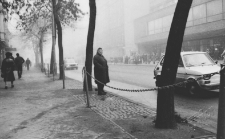 Kobieta na Krakowskim Przedmieściu 51 w Lublinie