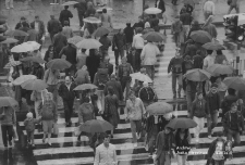 Aleja Tysiąclecia w Lublinie