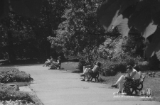 Ogr&oacute;d Saski w Lublinie