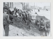 Szkoła podstawowa przy ulicy Kalinowszczyzna 14 w Lublinie (Szkoła Podstawowa nr 23 w Lublinie) &ndash; uczniowie podczas prac porządkowych