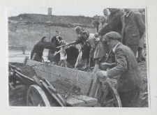 Szkoła podstawowa przy ulicy Kalinowszczyzna 14 w Lublinie (Szkoła Podstawowa nr 23 w Lublinie) &ndash; uczniowie podczas prac porządkowych