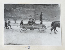 Szkoła podstawowa przy ulicy Kalinowszczyzna 14 w Lublinie (Szkoła Podstawowa nr 23 w Lublinie) &ndash; uczniowie podczas prac porządkowych