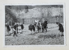 Uczniowie Szkoły Podstawowej nr 23 w Lublinie podczas porządkowania boiska szkolnego