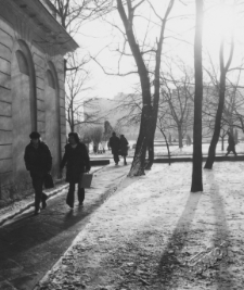 Plac Litewski w Lublinie