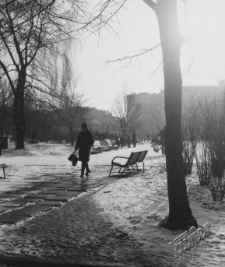 Plac Litewski w Lublinie