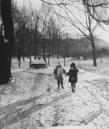 Plac Litewski w Lublinie