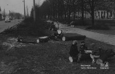 Droga Męczenników Majdanka w Lublinie