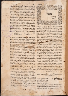 [Szeelot u-tszuwot] Amar ha-cair, שאלות ותשובות] אמר הצעיר]