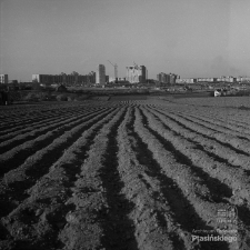 Budowa osiedla im. Zygmunta Krasińskiego LSM w Lublinie