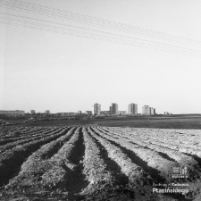 Osiedle LSM im. Adama Mickiewicza w Lublinie