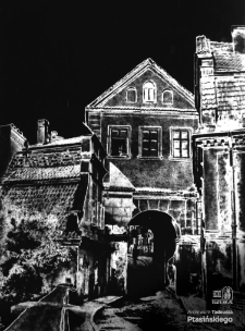 Brama Grodzka w Lublinie (solaryzacja)