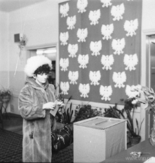 Wybory do Sejmu i Wojew&oacute;dzkich Rad Narodowych