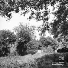 Tomaszowice &ndash; wieś w pobliżu Lublina