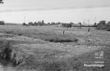 Łąki w Zemborzycach pod Lublinem