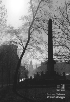 Pomnik Unii Lubelskiej w Lublinie &ndash; widok w stronę Krakowskiego Przedmieścia