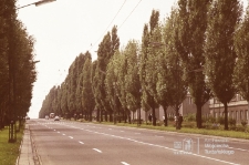 Aleje Racławickie w Lublinie &ndash; widok w stronę al. Warszawskiej