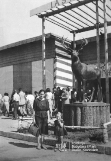 Centralna Wystawa Rolnicza w Lublinie w 1954 roku