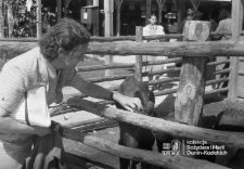 Centralna Wystawa Rolnicza w Lublinie w 1954 roku