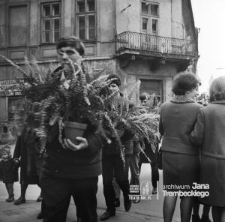 Mężczyźni z paprociami na Krakowskim Przedmieściu w Lublinie (na wysokości wlotu ul. Staszica)